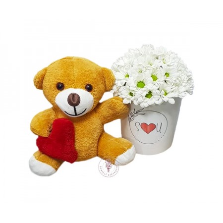 Love Daisy